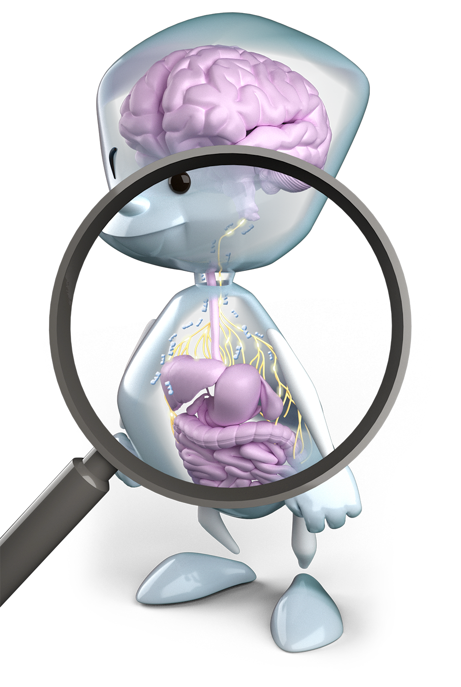 Vor Sam wird eine Lupe gehalten. Er steht seitlich. Sams Bauch und Kopf sind durchsichtig, sodass die Organe des Verdauungstrakts, das Gehirn und die Schmerzbahnen sichtbar sind.