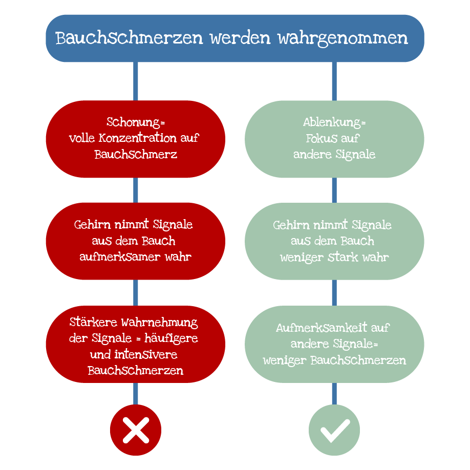https://meine-bauchstelle.com/wp-content/uploads/Diagramm_Schonung.png