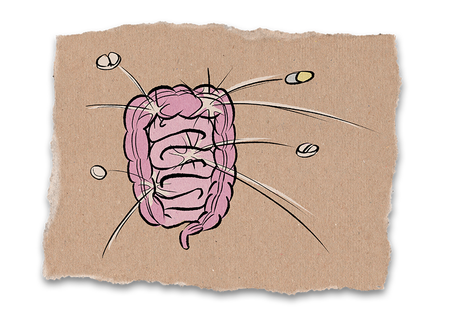 Verschiedene Tabletten prallen gegen die Darmwand und prallen ab.