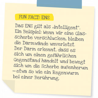 https://meine-bauchstelle.com/wp-content/uploads/PostIt_Funfact-320x320.png