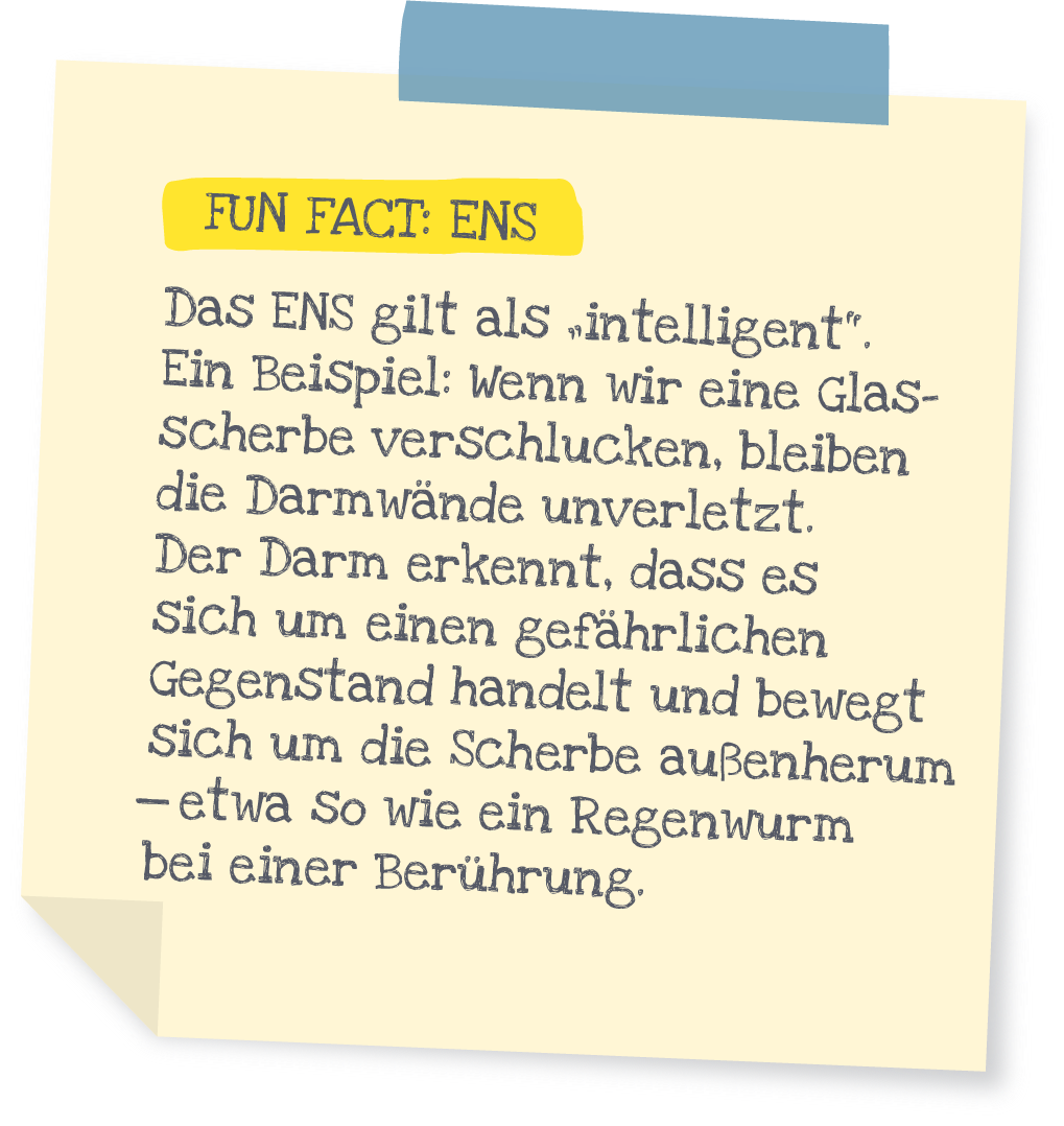 https://meine-bauchstelle.com/wp-content/uploads/PostIt_Funfact.png