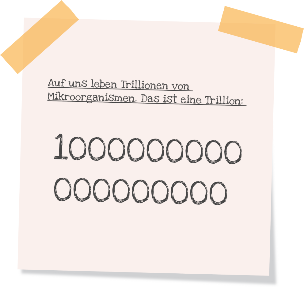 Post-It mit der folgenden Beschriftung: Auf uns leben Trillionen von Mikroorganismen. Das ist eine Zahl mit 18 Nullen.